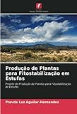 Produção de Plantas para Fitostabilização em Estufas: Projeto de Produção de Plantas para...